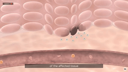 免疫细胞+干细胞，修复身体的黄金搭档