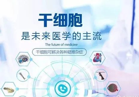 干细胞-未来医学的主流