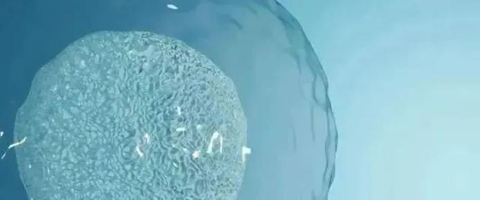 干细胞-未来医学的主流