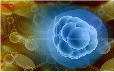 细胞治疗前必看！这份体检报告可能决定你的治疗效果