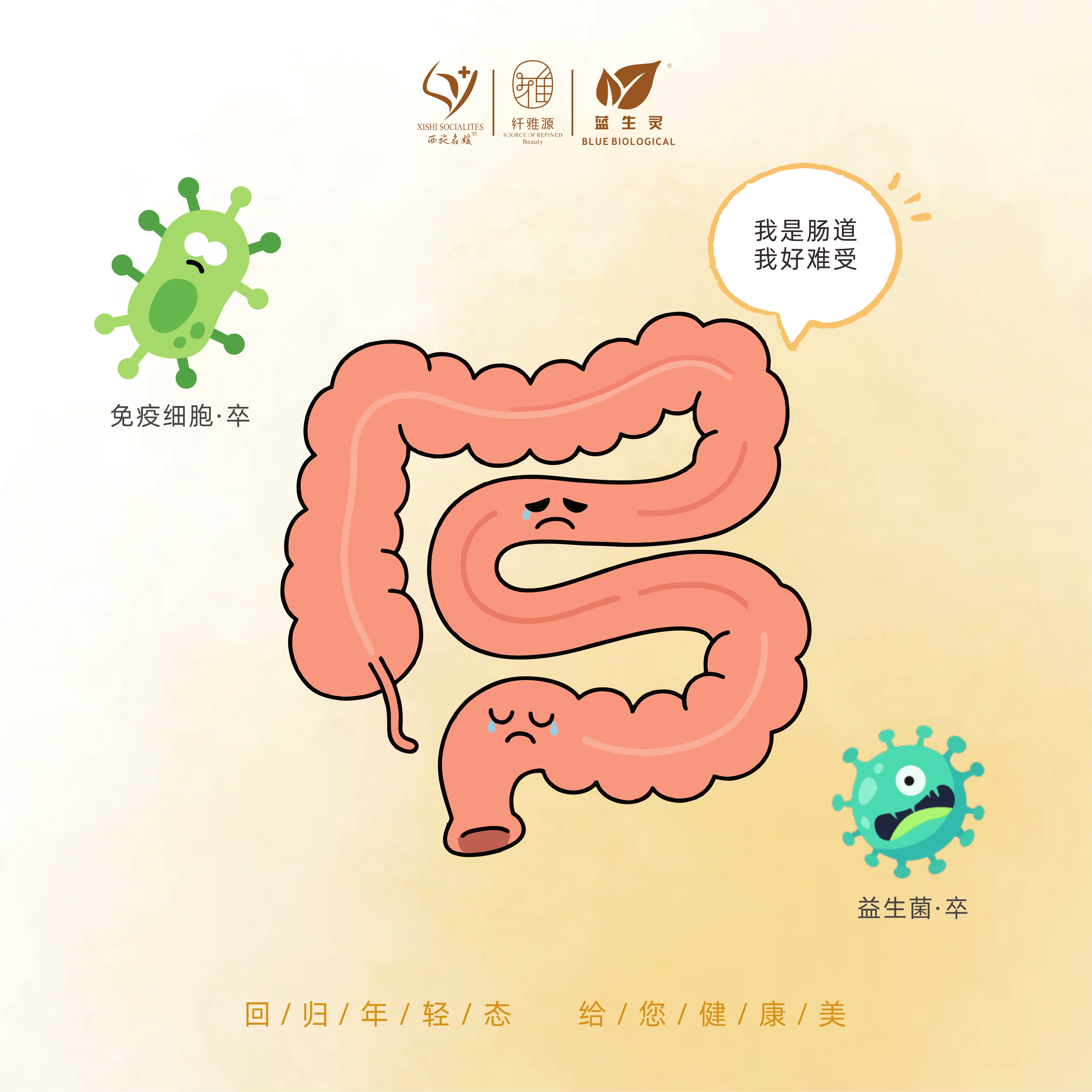 活到九十九｜奶茶党如何抢救免疫防线