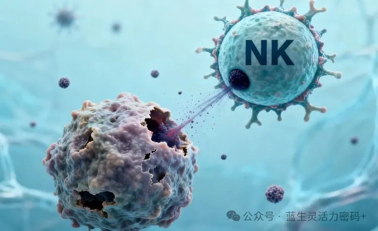 免疫细胞：抗癌战场上的“精准制导武器”，肿瘤复发和转移的克星！