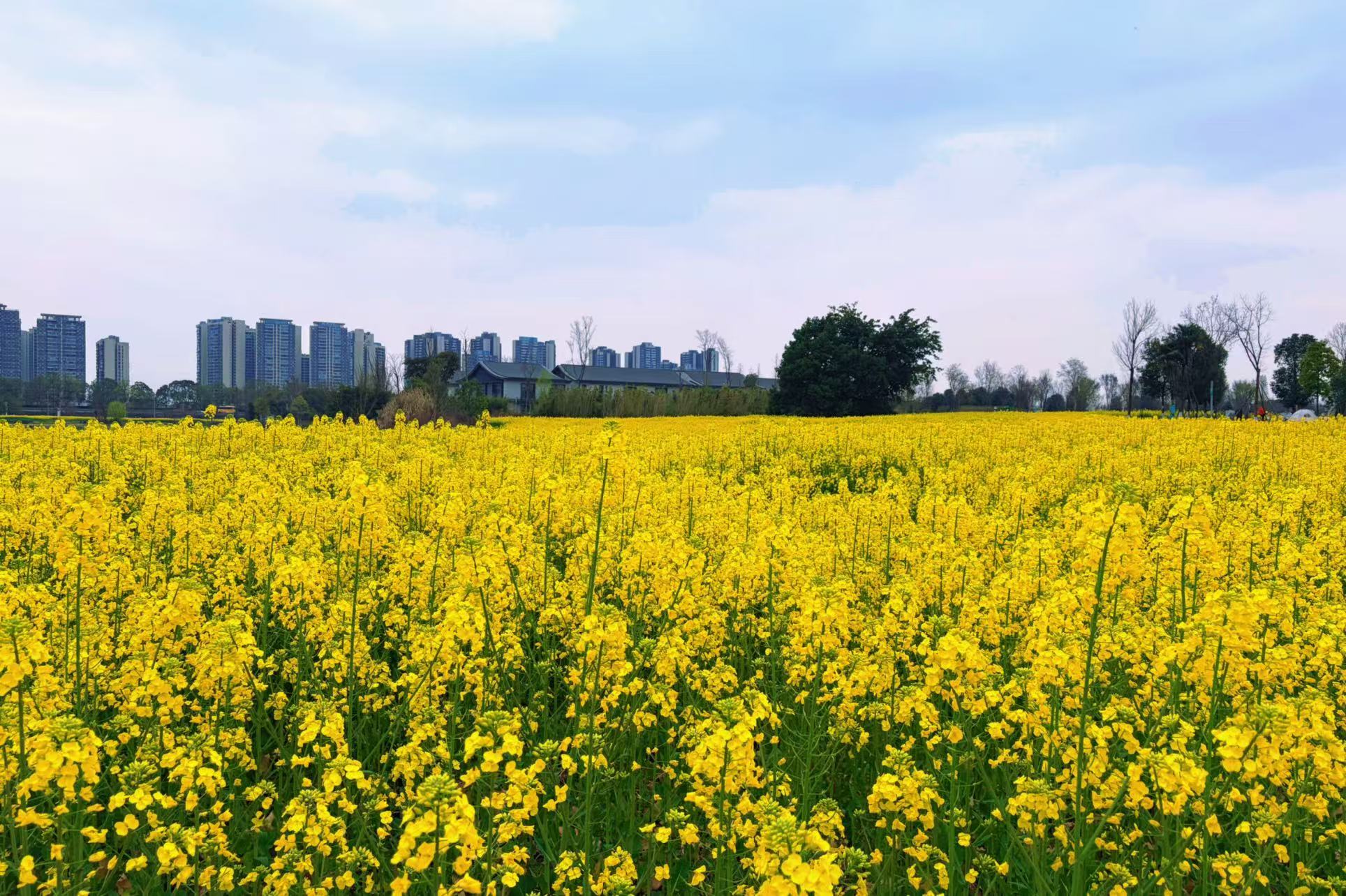 活到九十九｜开工一周还缓不过来？你被狠狠“透支”啦！