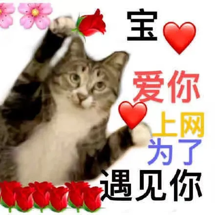 一篇大实话丨读懂年轻五岁，速来围观